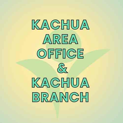 Kachua Area Office & Kachua Branch